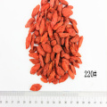 superfood Organic 220Grains/50G Goji Berry