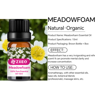 Aromatherapy Organic Wholesale Pure Natural Limnanthes Alba Organic Meadowfoam Seed Oil Carrier Oil for cosmetic skin body