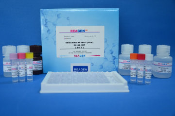 Tetracycline(TET) ELISA Test Kit