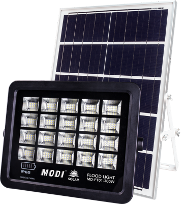 motion activated security light solar
