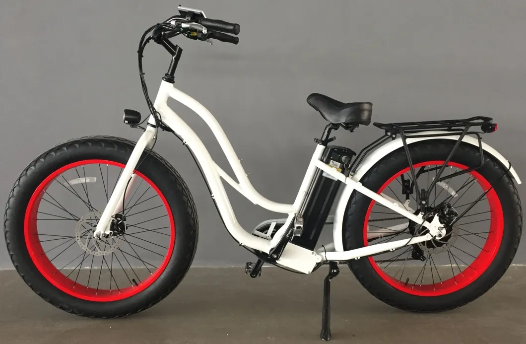 48V1000W Electric Bike Fat Tire Bike / Electric Womens Mountain Bike