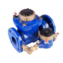 Duplex water meter