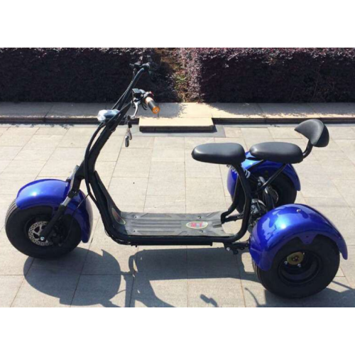 Scooter elettrico a tre ruote fuori strada per adulto