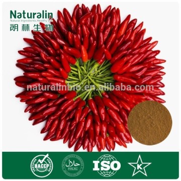 100% Pure Natural Capsicum annuum Extract/Capsicum annuum Extract powder/capsicum extract powder