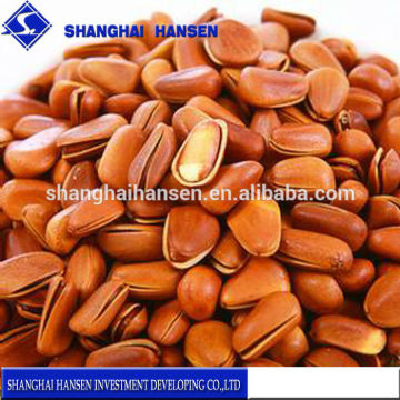 Pine nuts Snacks Import Agency Services for International Transportation Customs Declaration