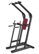 Chin Up Dip Leg Raise Machine