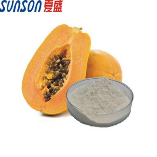 Voedingskwaliteit Enzym Papain Powder van Papaya