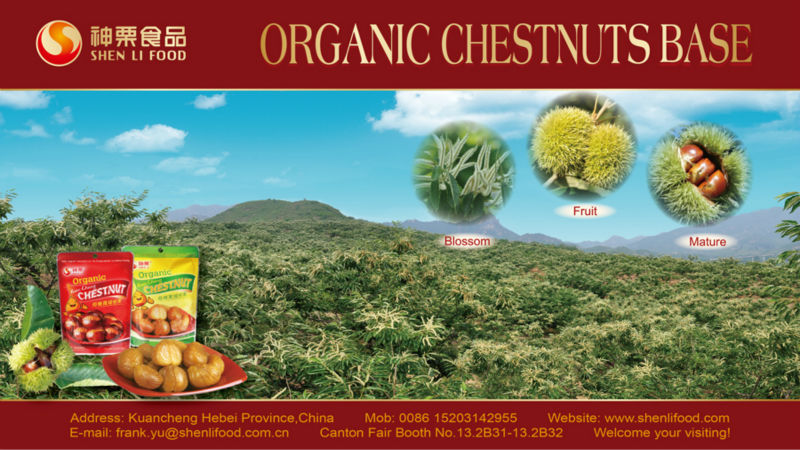 Chinese chestnuts for sale