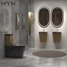 Luxury Gold Silver Line Glazed Black Ceramic Toilet Suite