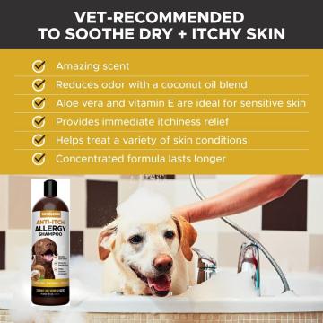 Oatmeal Pet Shampoo for Dogs for dry Skin