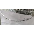 hot sale galvanized barbed wire