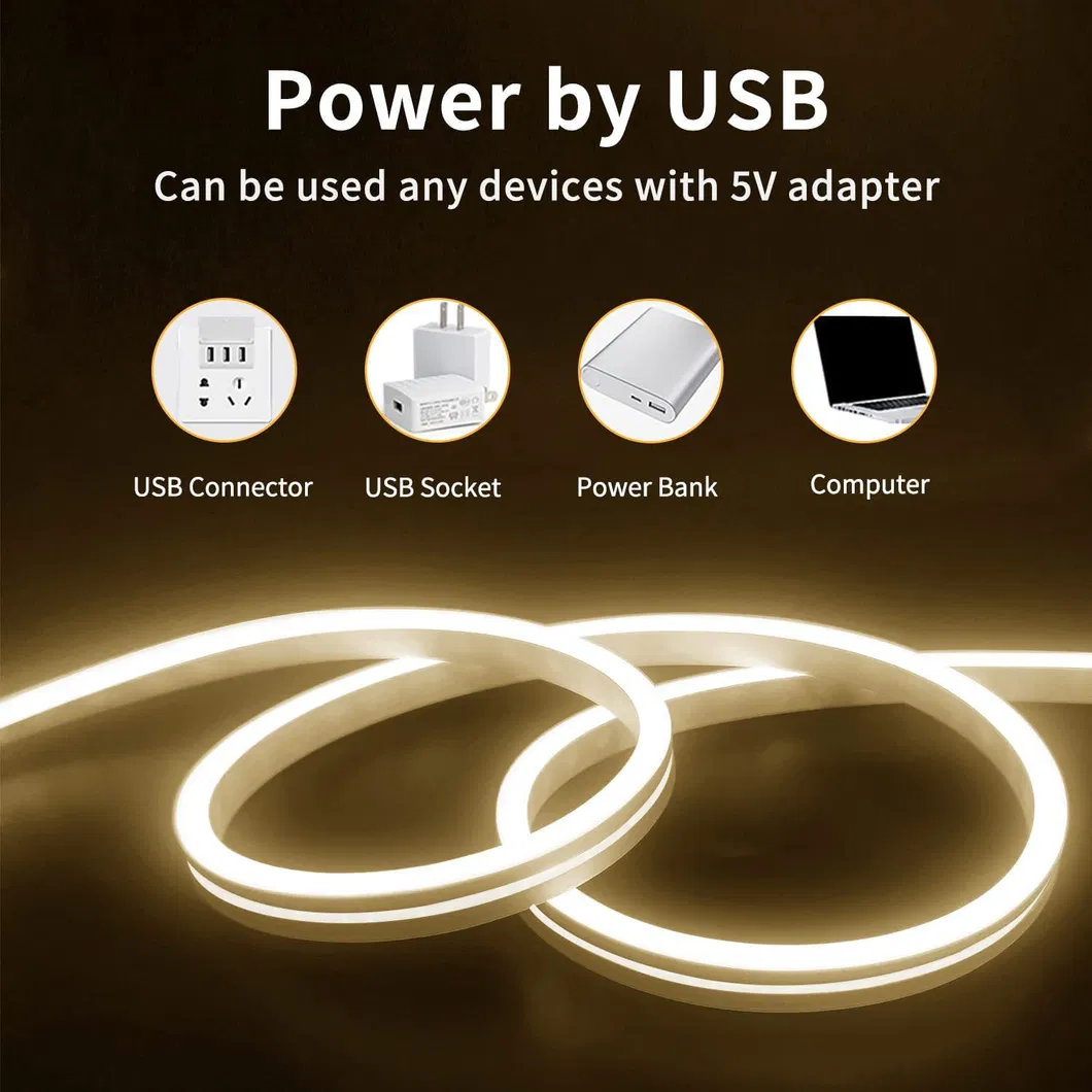 Colorful Flexible IP67 Silicone Neon Strip Lights for Home and Garden Decor