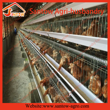 Poultry equipment chicken cage for sale in philippines