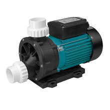 Bathtub and Pool Water Pumps for Swimming Pool Spa