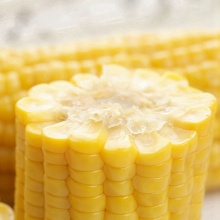 Deliciosas recetas de maíz para el Día de Acción de Gracias