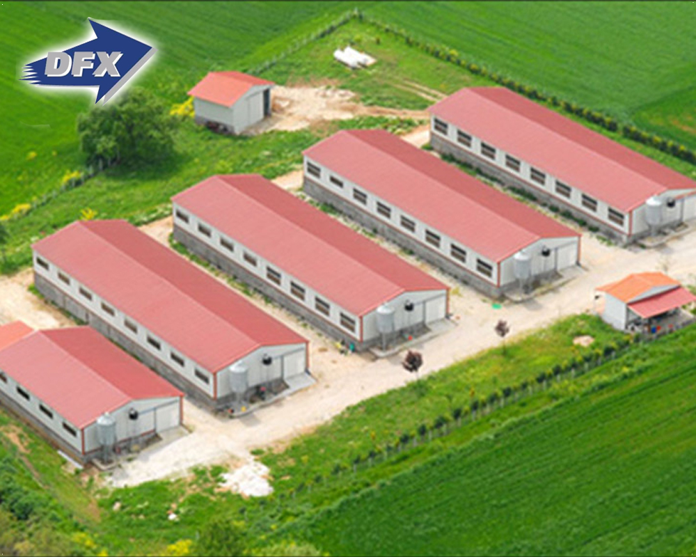 China low cost prefab hot galvanized steel structure poultry farm egg layer chicken house building