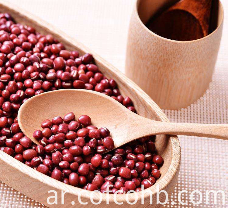 الصين فاصوليا حمراء صغيرة صحية المصنعين