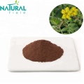 Reines natürliches Tribulus terrestris Pulver 90% Extrakt