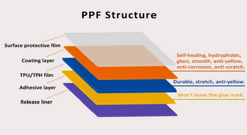 Ppf Structure