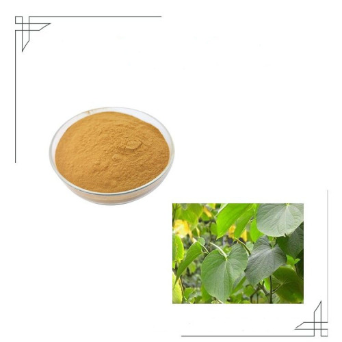 Hot sale Kava pepper extract