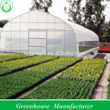 Greenhouses for Vegetables
