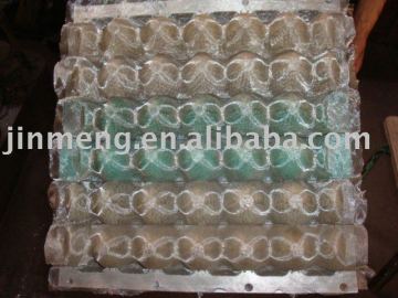 Fruit Tray Mould
