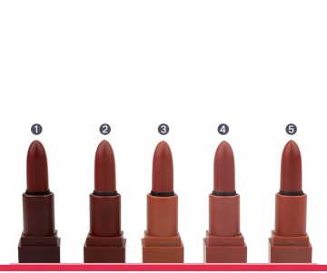 Custom lipstick set matte lipstick waterproof private label