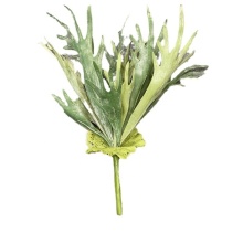 Hot Sale Plastic Greenery Tropical Plants - Staghorn Fern for Wedding Decor