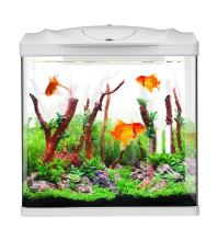 Professional Sunsun HR-180 HD Glass Desktop Fish Tank: Your Ultimate Aquarium Solution