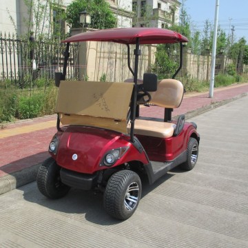 Chariots de golf mini-voiture électriques 2 places pour la communauté