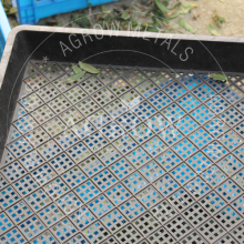 Garden Plant Breeding Trays