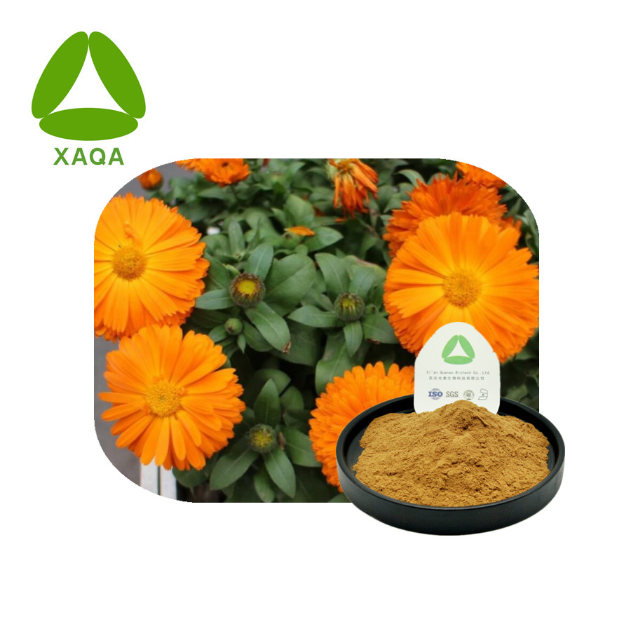 Caléndula officinalis flores de calendula extracto polvo