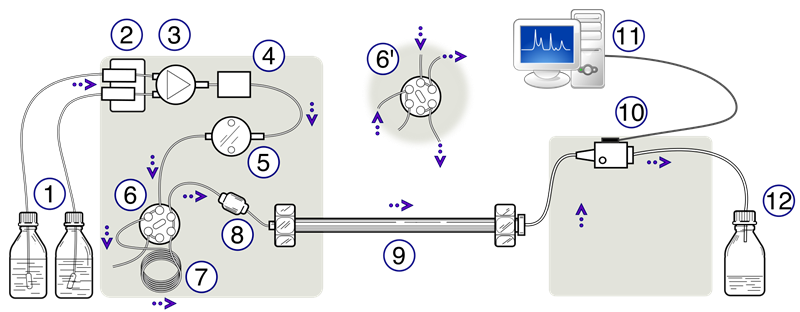 Schematic Representation Of An Hplc Unit