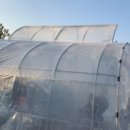 Pequeño invernadero de plástico con ventilaciones superiores