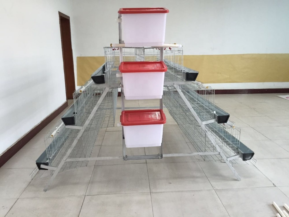 Cheap chicken animals battery cages layer price system with auto feeder drinker and cleaner