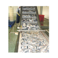 정어리 참치 고등어 생선 가공 생산 라인