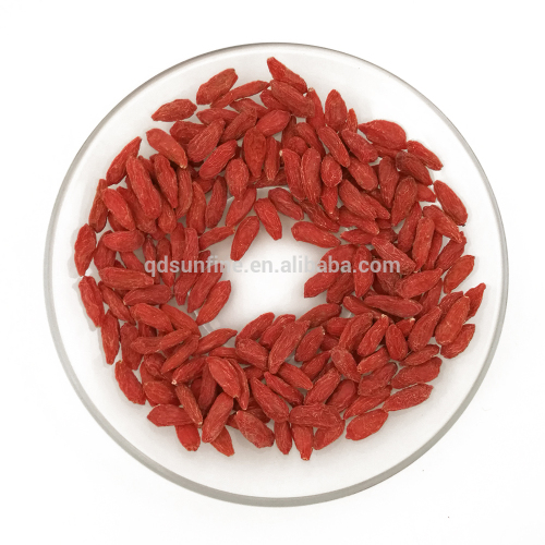 The first harvest dried Ningxia goji berry in high grade