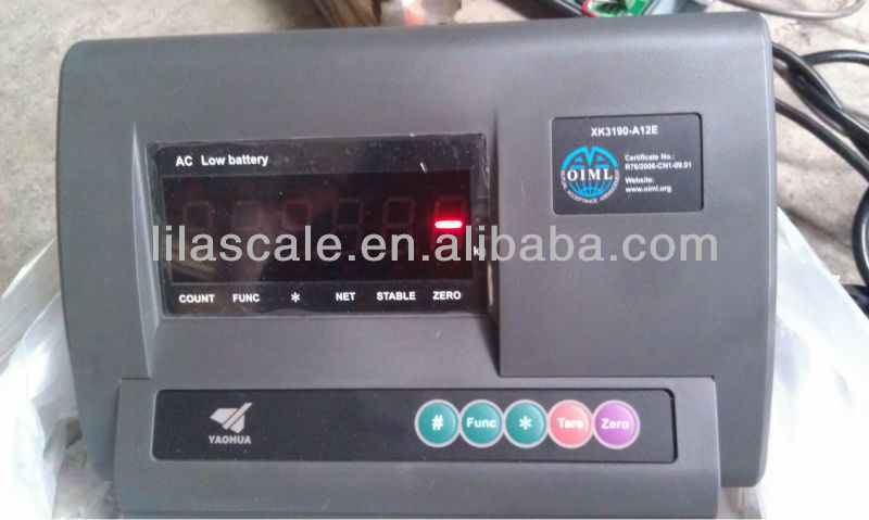 Platform Scale Indicator A12