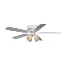Home decorative ceiling fan with light