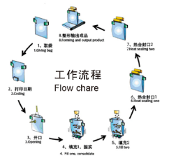 Liquid Paste Bag-given Automatic Packing Machine