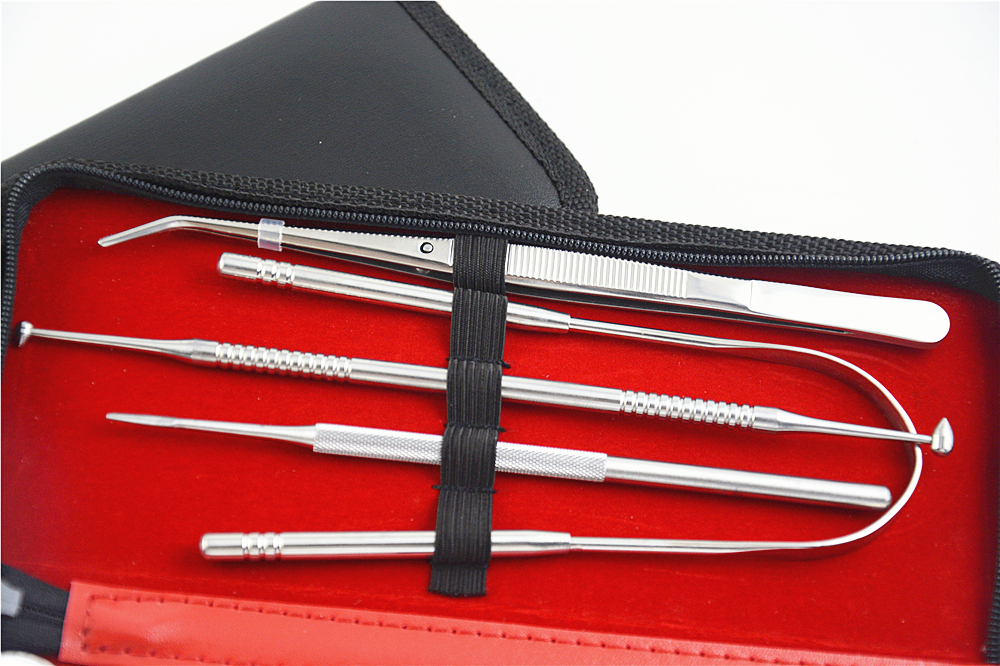 Herramientas dentales para eliminar la placa Dental Tools To Remove Plaque