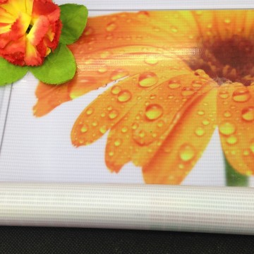 China hot lamination backlit material flex advertisement banner