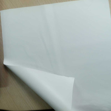 white-white projection film