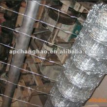 cattle fence boundary fence