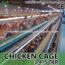 chiken egg poultry farm equipment/Guangzhou chicken cage                        
                                                Quality Choice