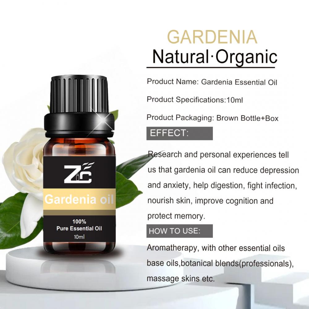 Gardenia Oil Essential Oil For Health Care And Aromatherapy