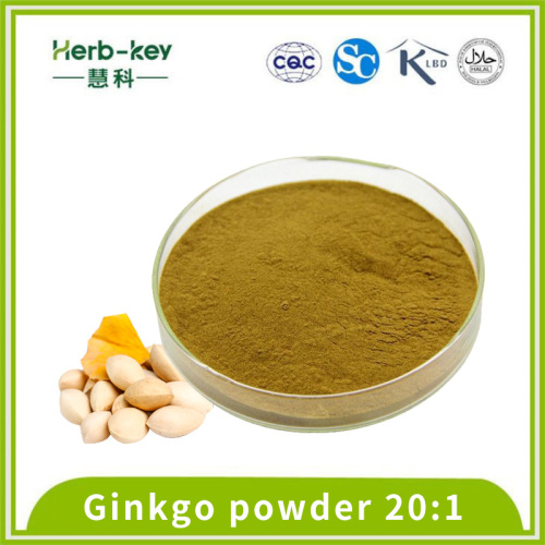 20:1 Brown yellow Ginkgo fruit extract powder