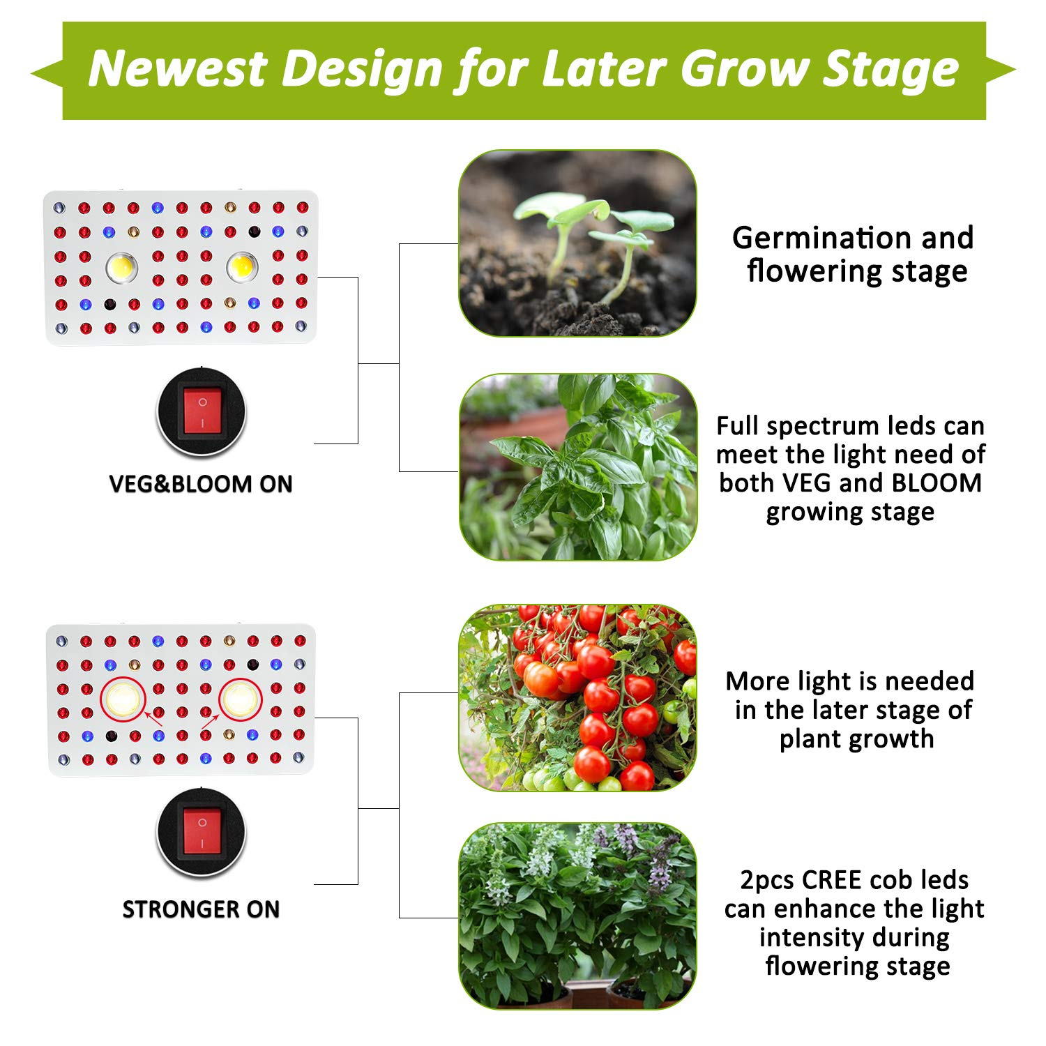 COB LED Grow Light (4)