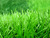 Better than nature football artificial grass