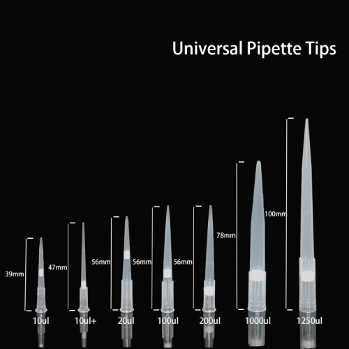 Mẹo pipet và mẹo lọc pipet